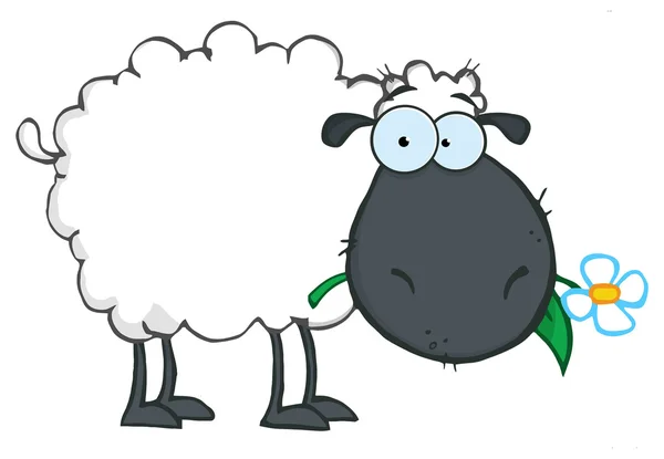 Caráter preto dos desenhos animados das ovelhas —  Vetores de Stock