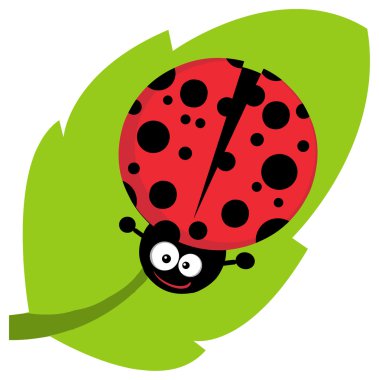 uğur böceği çizgi film karakteri