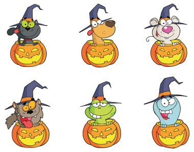 Halloween Pumpkins hayvanlarda