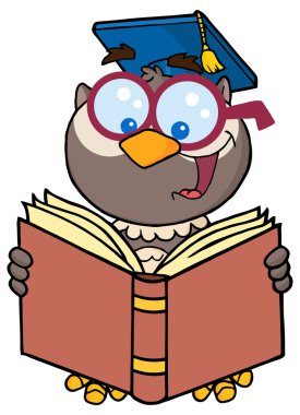 Baykuş öğretmen karakter