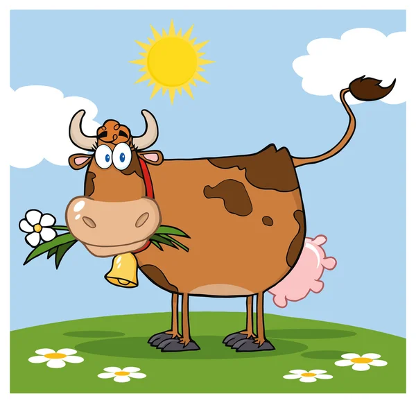 Brown Dairy Cow — Stock Vector