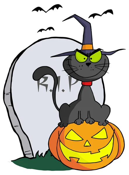 Halloween gato en calabaza — Archivo Imágenes Vectoriales