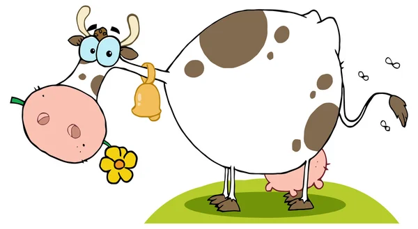 Cow Chewing  A Flower — Stock Vector