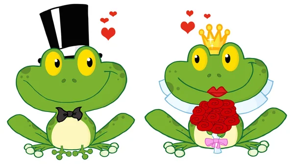 新郎和新娘青蛙夫妇 — 图库矢量图片