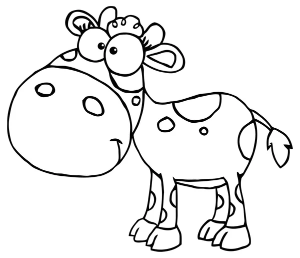 Outlined Baby Cow — Stock Vector