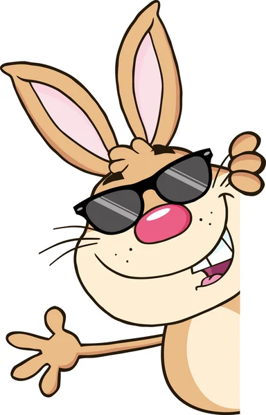 Coniglio con occhiali da sole con segno bianco — Vettoriale Stock