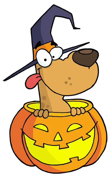 Halloween cartoon dog in pumpkin — Stock Vector