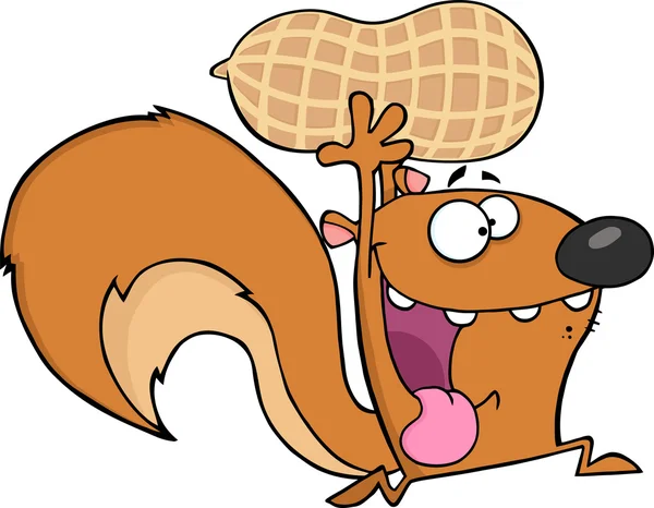 Verrückte Eichhörnchen-Zeichentrickfigur — Stockvektor