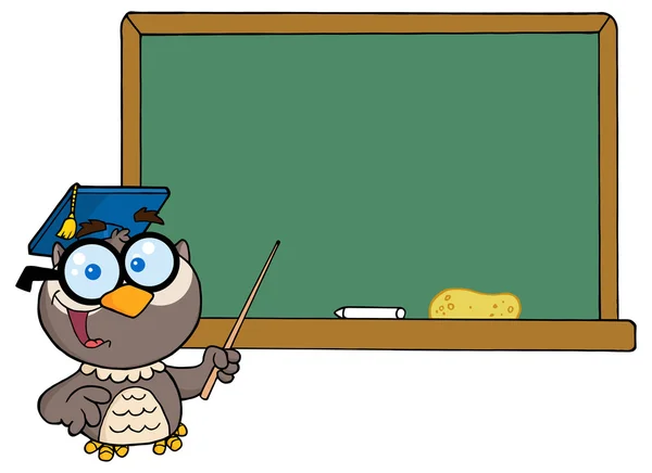 Owl Teacher Character — Stock Vector