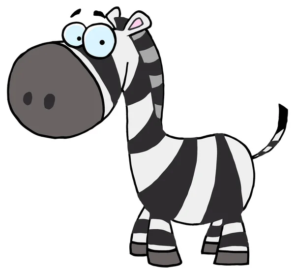 Zebra Cartoon Character i — Stock Vector