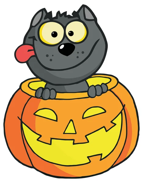 Cartoon Halloween Cat and Pumpkin — Stock Vector