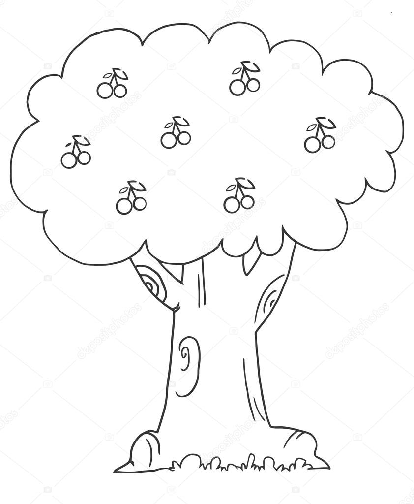 Cherry Tree Outline Outline Of A Cherry Tree Stock Vector