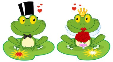 Gelin ve damat kurbağalar