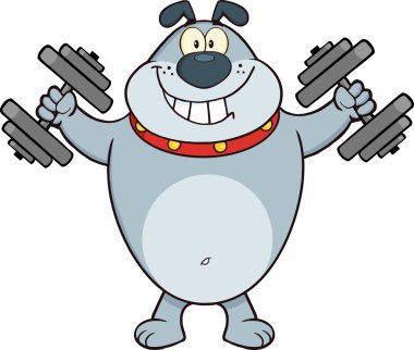 Bulldog eğitim Dumbbells ile