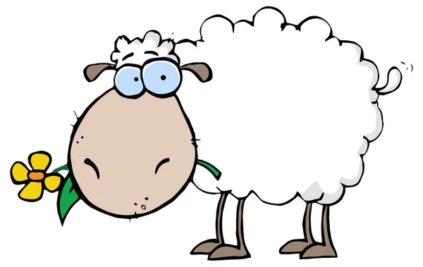 White Sheep Cartoon Character — Stock Vector