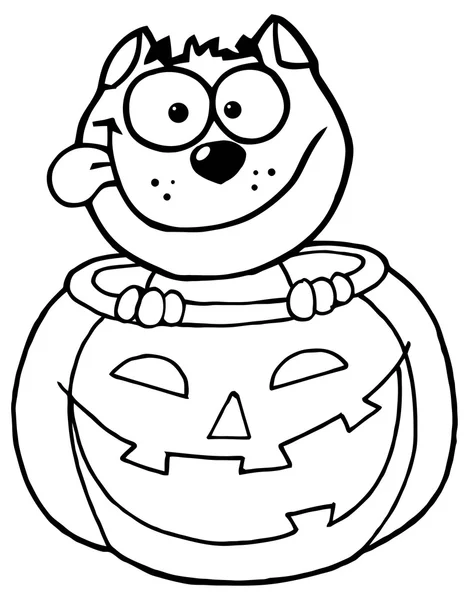 Cartoon Halloween Cat and Pumpkin — Stock Vector