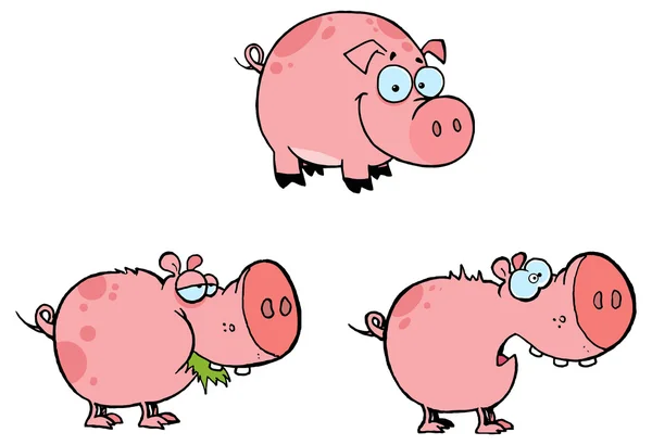 Coleção de porcos rosa — Vetor de Stock