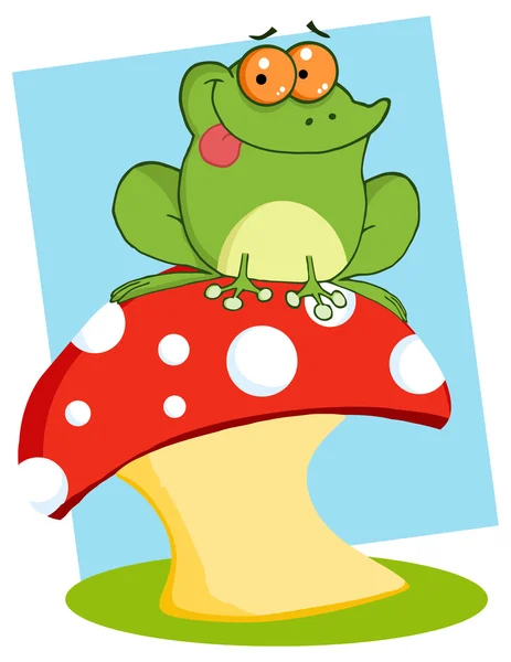 Tree Frog On   Mushroom — Stock Vector