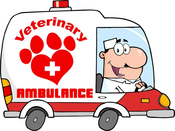 Medico Guida ambulanza veterinaria — Vettoriale Stock