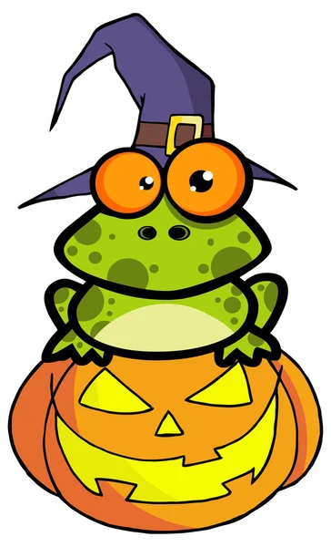 Frog With A Witch Hat — Stock Vector