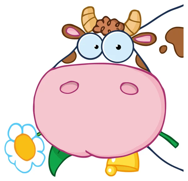 Caráter dos desenhos animados da cabeça de vaca —  Vetores de Stock