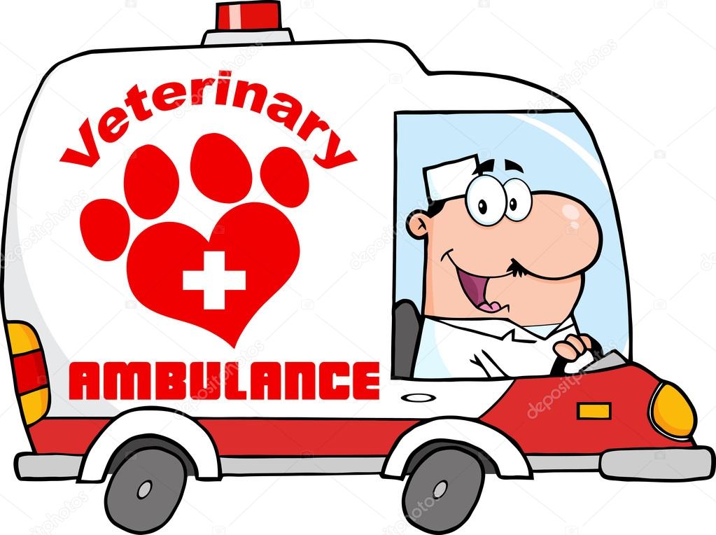 Doctor Driving Veterinary Ambulance