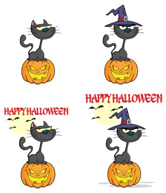 Cadılar Bayramı kedisi ve balkabağı