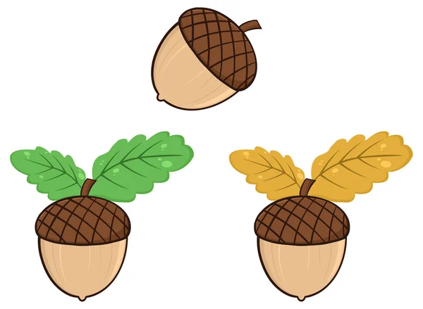 Cartoon acorn set — Stock vektor