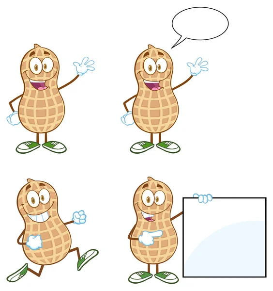 Mascotte de cacahuète Caractère — Image vectorielle
