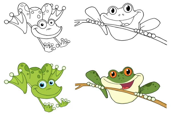 Conjunto de animales de rana — Archivo Imágenes Vectoriales