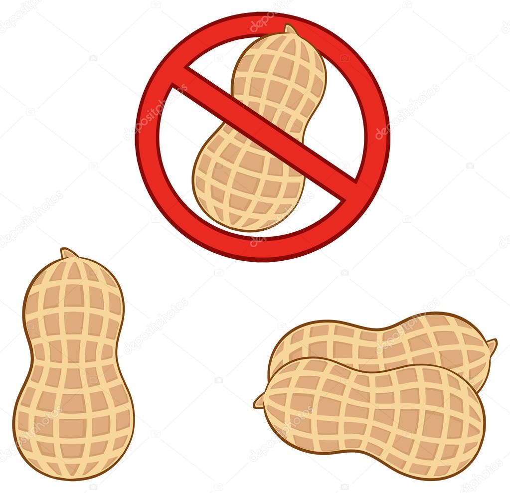 Cartoon Peanut Mascot Character set