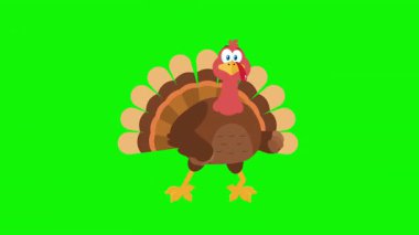 Komik Hindi Kuş Çizgi Film Karakteri Neşeli 4K Canlandırma Video Hareketi Arkaplanı Yeşil Ekran Grafikleri