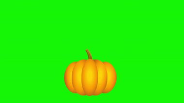 Komik Hindi Kuş Çizgi Filmi Karakteri Balkabağından Atlıyor ve Yeşil Ekran Arkaplanlı 4K Şükran Günü animasyon video animasyonu grafikleri sallıyor