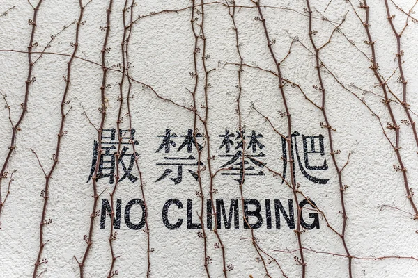 壁に登ってないです。 — ストック写真