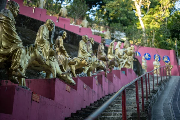 Zehntausend Buddhas Kloster Hongkong — Stockfoto