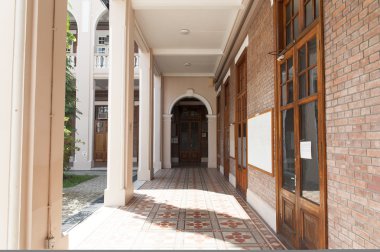 hong Kong Üniversitesi
