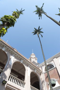 hong Kong Üniversitesi