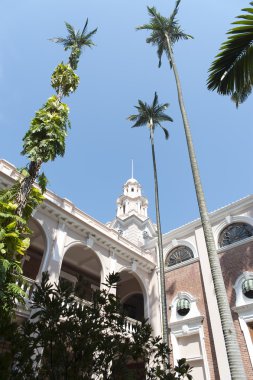 hong Kong Üniversitesi