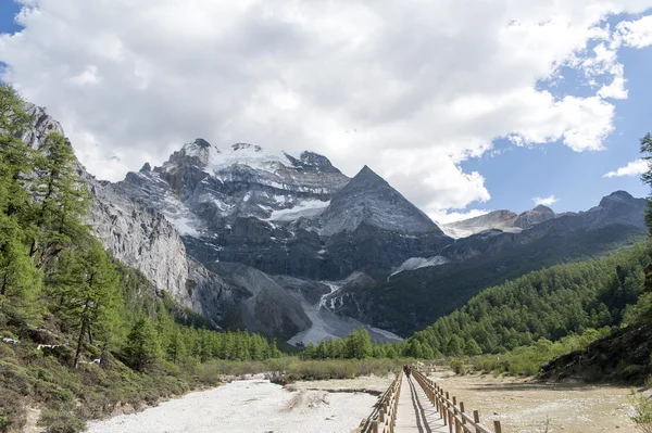 Xian Nairi snow Mountain — Stockfoto