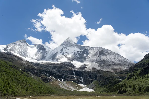チベット草原と雪山 — ストック写真