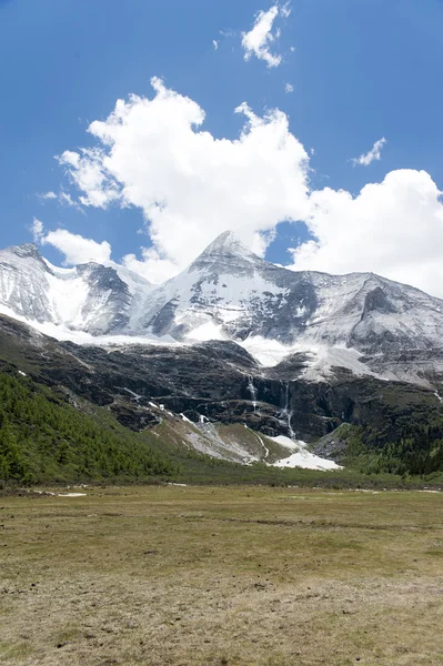 Tibet montagna di neve con Prateria — Foto Stock