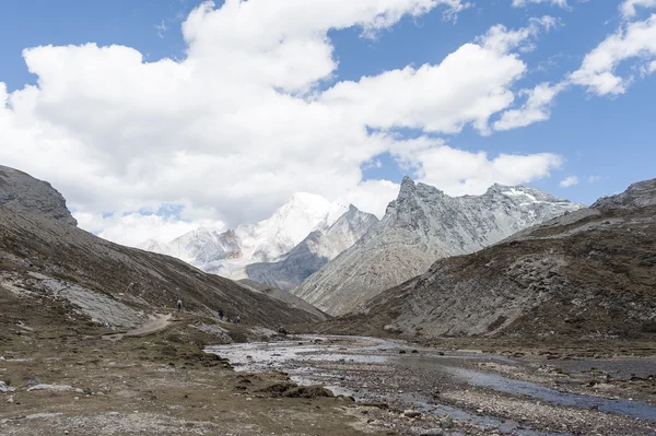 Tibet montagna di neve con Prateria — Foto Stock