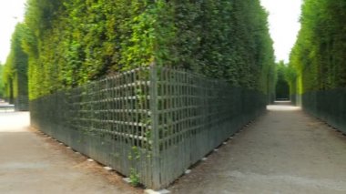 Paris Versailles Sarayı