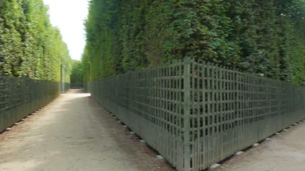 Palacio de Versalles en París — Vídeos de Stock