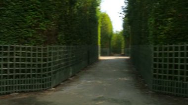 Paris Versailles Sarayı