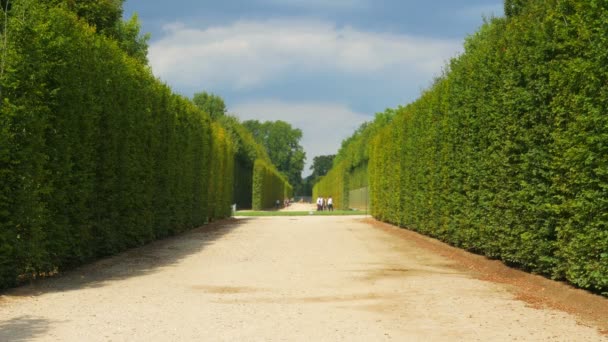 Schloss Versailles in Paris — Stockvideo