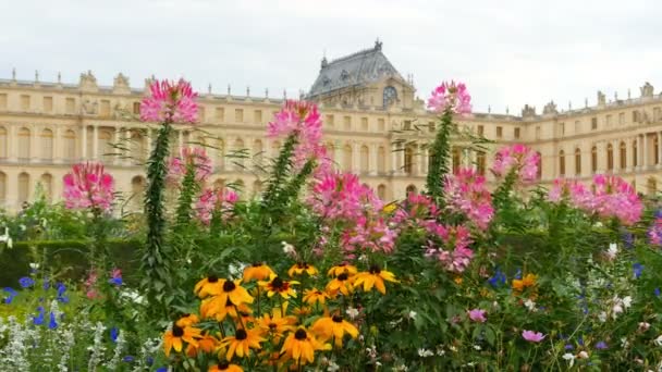 Palazzo Versailles a Parigi — Video Stock