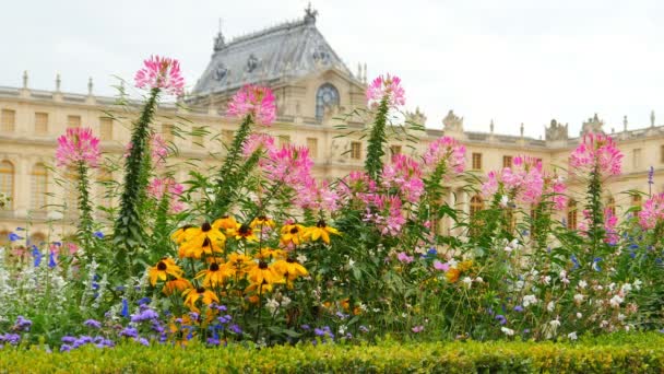 Palazzo Versailles a Parigi — Video Stock