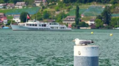 İsviçre göl ve dağların