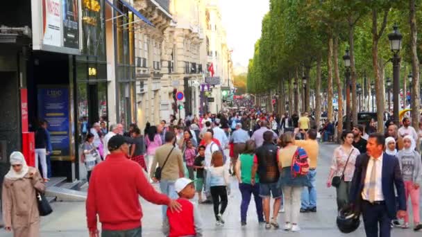 Champs Elysees ในปารีส — วีดีโอสต็อก